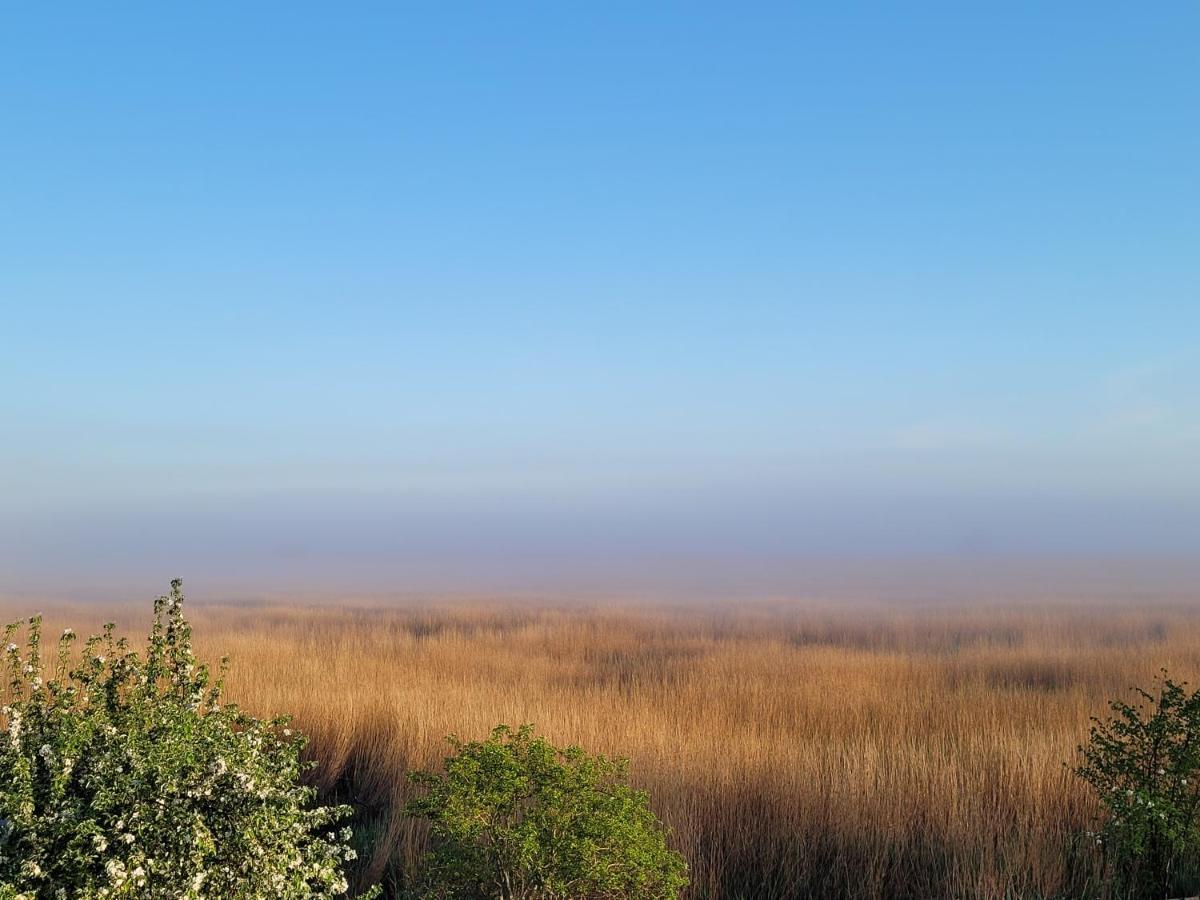 DOM GOŚCINNY PTASZARNIA - Ekologia - Natura - Rewilding Świnoujście Zewnętrze zdjęcie