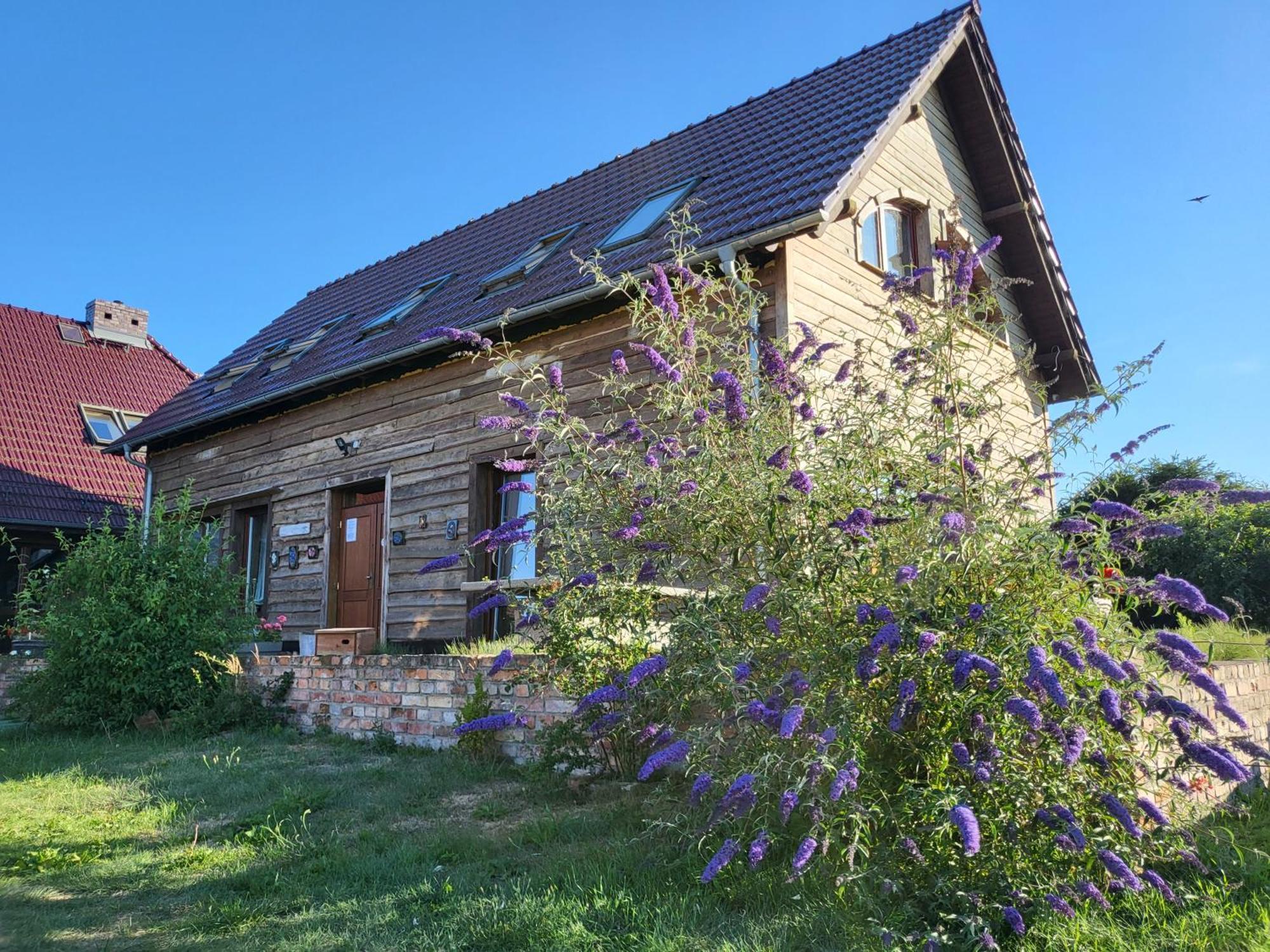 DOM GOŚCINNY PTASZARNIA - Ekologia - Natura - Rewilding Świnoujście Zewnętrze zdjęcie